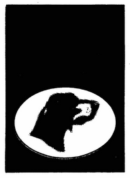 BOSTON TRADERS logo