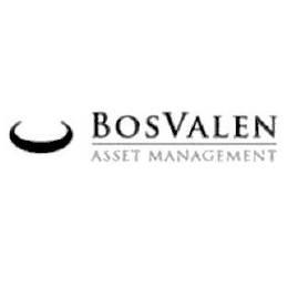 BOSVALEN ASSET MANAGEMENT logo