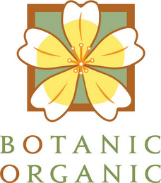 BOTANIC ORGANIC logo