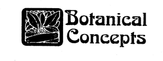 BOTANICAL CONCEPTS logo