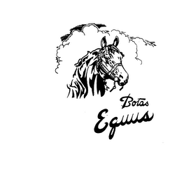 BOTAS EQUUS logo