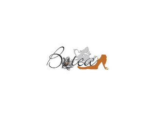 BOTEA logo