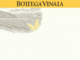 BOTTEGA VINAIA logo