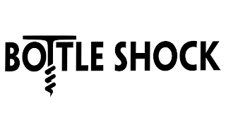 BOTTLE SHOCK logo