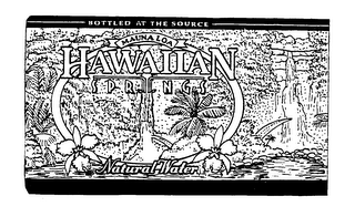 BOTTLED AT THE SOURCE MAUNA LOA HAWAIIAN SPRINGS NATURAL WATER logo