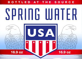 BOTTLED AT THE SOURCE SPRING WATER USA 16.9 OZ 16.9 OZ logo