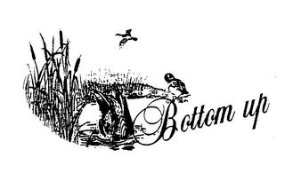 BOTTOM UP logo