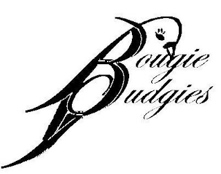 BOUGIE BUDGIES logo