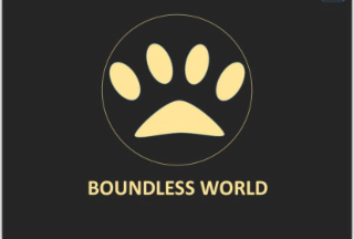 BOUNDLESS WORLD logo