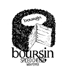 BOURSIN BOURSIN SPICED CHEESE WITH PEPPER logo