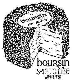BOURSIN SPICED CHEESE WITH PEPPER