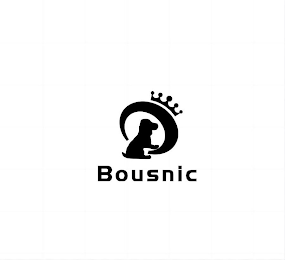 BOUSNIC logo