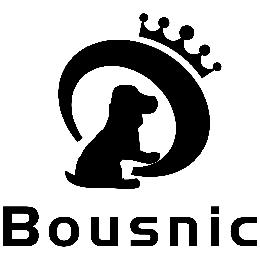 BOUSNIC logo