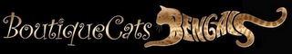 BOUTIQUECATS BENGALS logo