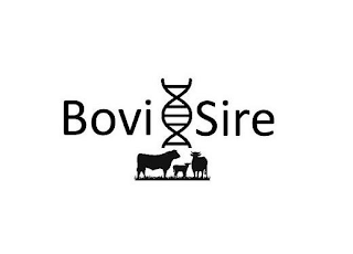 BOVI SIRE logo
