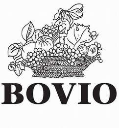 BOVIO logo
