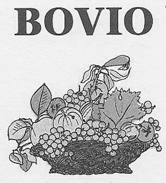 BOVIO logo