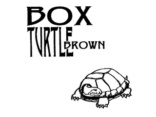 BOX TURTLE BROWN logo