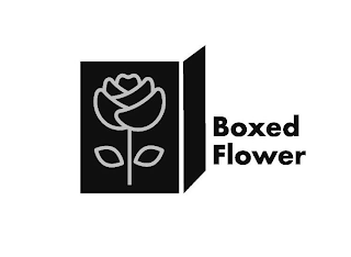 BOXED FLOWER logo