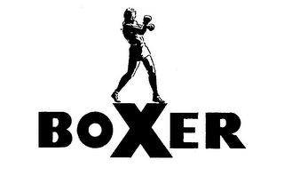 BOXER logo