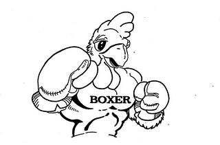 BOXER logo