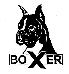 BOXER logo