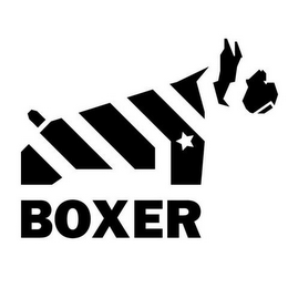 BOXER logo