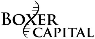 BOXER CAPITAL logo