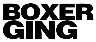 BOXER GING logo