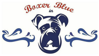 BOXER IN BLUE logo