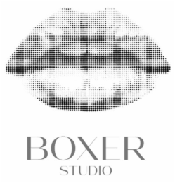 BOXER STUDIO logo
