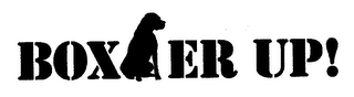 BOXER UP! logo