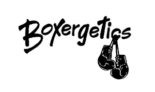 BOXERGETICS logo
