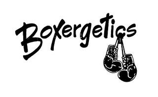 BOXERGETICS logo