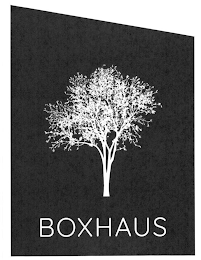 BOXHAUS logo