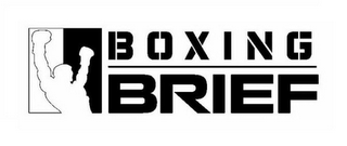 BOXING BRIEF logo