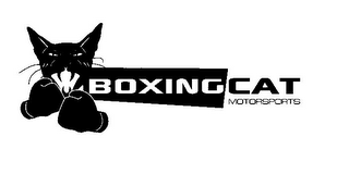 BOXING CAT MOTORSPORTS logo