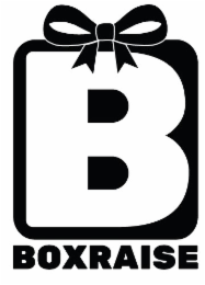 BOXRAISE logo