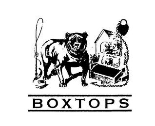 BOXTOPS logo