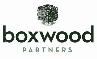 BOXWOOD PARTNERS logo
