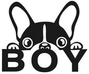 BOY logo