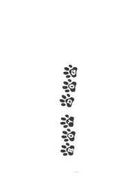 BOY DOG logo