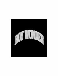 BOY WONDER logo