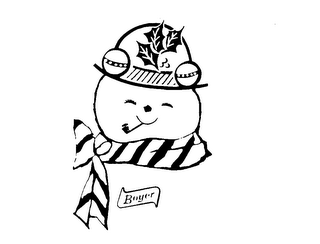 BOYER logo