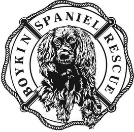 BOYKIN SPANIEL RESCUE logo