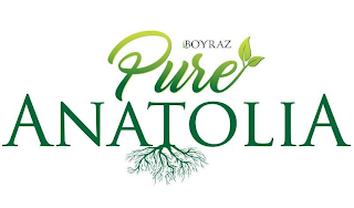 BOYRAZ PURE ANATOLIA logo