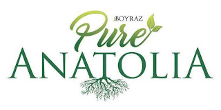 BOYRAZ PURE ANATOLIA logo