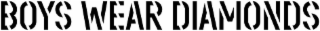 BOYS WEAR DIAMONDS logo