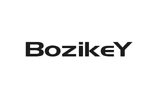 BOZIKEY logo