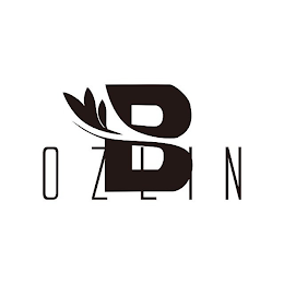 BOZLIN logo